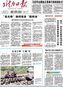 陇南日报